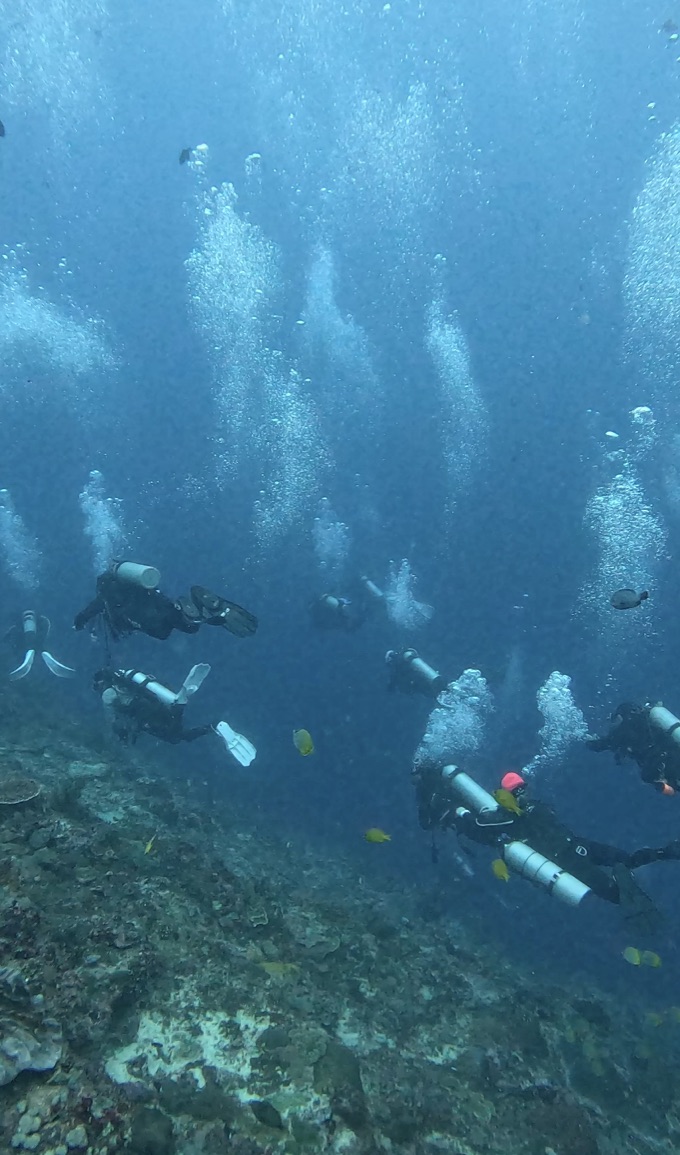 °‧🫧⋆SCUBA-DIVING TRIP Bali 2025 Summer&nbsp;🪼⋆.ೃ࿔*:·